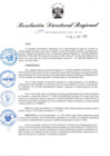 Vista preliminar de documento RDR-234-2025