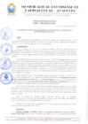 Vista preliminar de documento RESOLUCION 206