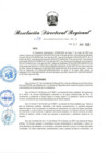 Vista preliminar de documento RDR-238-2025