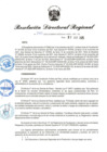 Vista preliminar de documento RDR-243-2025