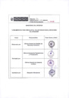 Vista preliminar de documento ANEXO 0602-2025-IN