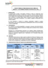 Vista preliminar de documento PLAN DE TRABAJO - MUNI PISCO