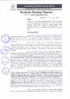 Vista preliminar de documento RDR 132-2025