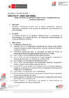 Vista preliminar de documento DIRECTIVA 000001-2025-VMI-MC - ANEXO