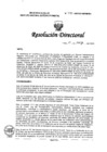 Vista preliminar de documento RD N° 093-2025-DG-INMP/MINSA