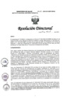 Vista preliminar de documento RD N° 119-2025-DG-INMP/MINSA