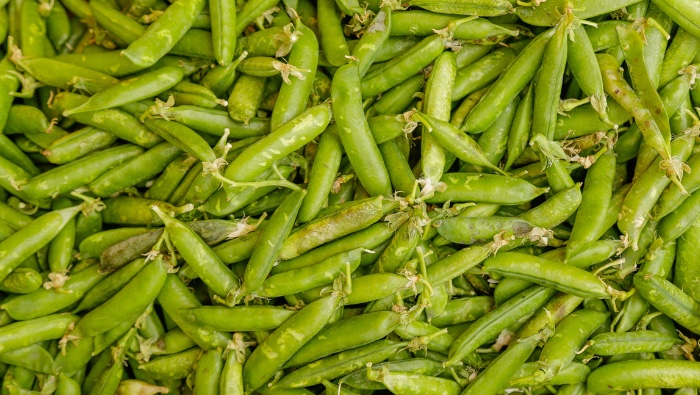 Hoy en los mercados mayoristas tenemos ofertas de arveja, frijol, tomate, uva, granadilla, naranja y otros