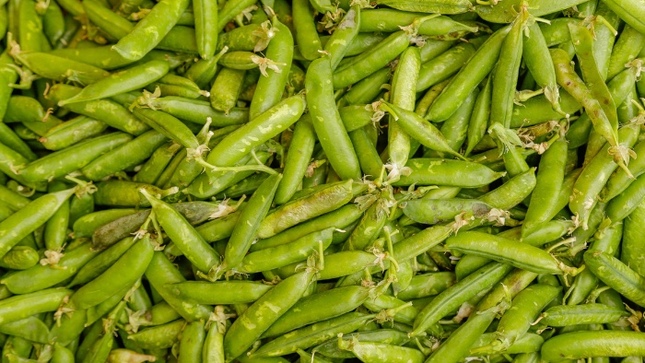 Hoy en los mercados mayoristas tenemos ofertas de arveja, frijol, tomate, uva, granadilla, naranja y otros
