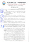 Vista preliminar de documento RESOLUCION 231