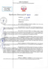 Vista preliminar de documento RD N 00288