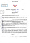 Vista preliminar de documento RD N 00291