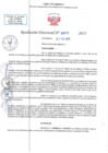 Vista preliminar de documento RD N 00293