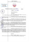 Vista preliminar de documento RD N 00295