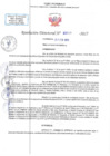 Vista preliminar de documento RD N 00300