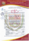 Vista preliminar de documento RESOLUCION DE ALCALDIA 036-2025-MDV