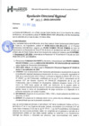 Vista preliminar de documento 00315 RDR 2025 DAR CUMPLIMIENTO PEDRO DAMIAN ROJAS ROMAN