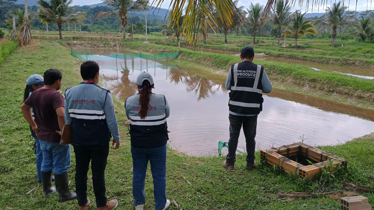 Se realizó la visita y fiscalización a dos granjas acuícolas productoras de semilla de peces, ubicadas en la provincia de Moyobamba.