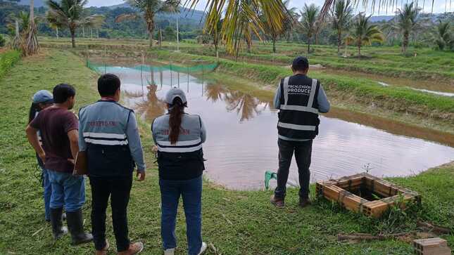  Se realizó la visita y fiscalización a dos granjas acuícolas productoras de semilla de peces, ubicadas en la provincia de Moyobamba. 
