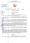 Vista preliminar de documento RD N 00312