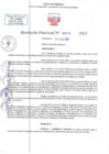 Vista preliminar de documento RD N 00313