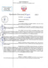 Vista preliminar de documento RD N 00315