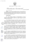 Vista preliminar de documento RS N° 029-2025-MINEM-SG