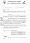 Vista preliminar de documento RD N° 650-2025_opt
