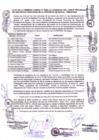 Vista preliminar de documento ACTA DE 1RA CONSULTA PUBLICA ORDINARIA COPROSEC