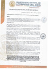 Vista preliminar de documento ORDENANZA MUNICIPAL N°003-2025-MDBI/A