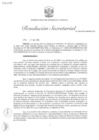 Vista preliminar de documento RS N° 026-2025-MINEM-SG