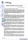 Vista preliminar de documento Resolucion de Alcaldia N 046-2025-MDP