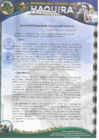 Vista preliminar de documento Aprobar la entrega de 02 unidades de faros bienes de segundo uso en calidad de donación por parte de la Municipalidad Distrital de Haquira a favor de Amilcar Arredondo Portilla con fines ornamentales según solicitud.