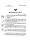 Vista preliminar de documento RD N°163-2025-HNCH-DG