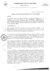 Vista preliminar de documento RGM-071-2025