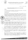 Vista preliminar de documento RGM-073-2025