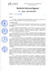 Vista preliminar de documento 00382 RDR 2025 APROBAR EL CRONOGRAMA DEL PROCESO EXCEPCIONAL PARA LA ENCARGATURA DE PUESTO DE DIRECTOR DEL INSTITUTO DE HERMILIO VALDIZAN DE LA DRE HCO 2025