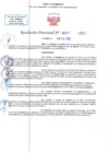 Vista preliminar de documento RD N 00367