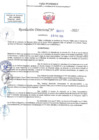 Vista preliminar de documento RD N 00370