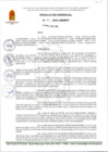 Vista preliminar de documento RG 54-2025-GM-MDT