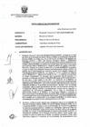Vista preliminar de documento RESOLUCION N° 0004-2025-MINEM-CM