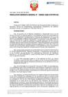 Vista preliminar de documento RGG Nº D000021-2025-GG