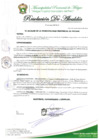 Vista preliminar de documento RESOLUCION DE ALCALDIA Nº 179-2025