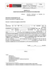 Vista preliminar de documento anexos-para-el-proceso-de-encargatura-2025