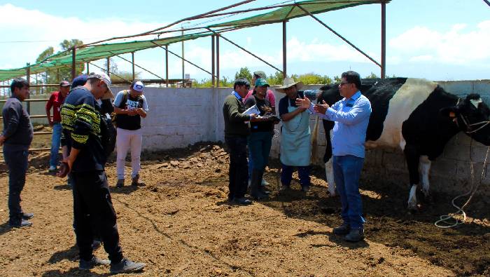 El Proyecto Especial Integral Majes Siguas del Gobierno Regional de Arequipa, en coordinación con especialistas del Instituto de Investigación y Entrenamiento Veterinario y Agrícola – INVAG Perú, fortalecieron las capacidades de más de una decena de médicos veterinarios zootecnistas, técnicos agropecuarios y productores del distrito de Majes con el taller de Ecografía Reproductiva en Vacunos y Ovinos.