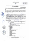Vista preliminar de documento RGDUR-086-2025-MPHH