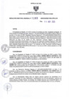 Vista preliminar de documento RDR N°260-2025-04-04-2025