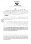 Vista preliminar de documento RDR N°261-2025-04-04-2025