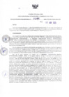 Vista preliminar de documento RDR N°264-2025-07-04-2025