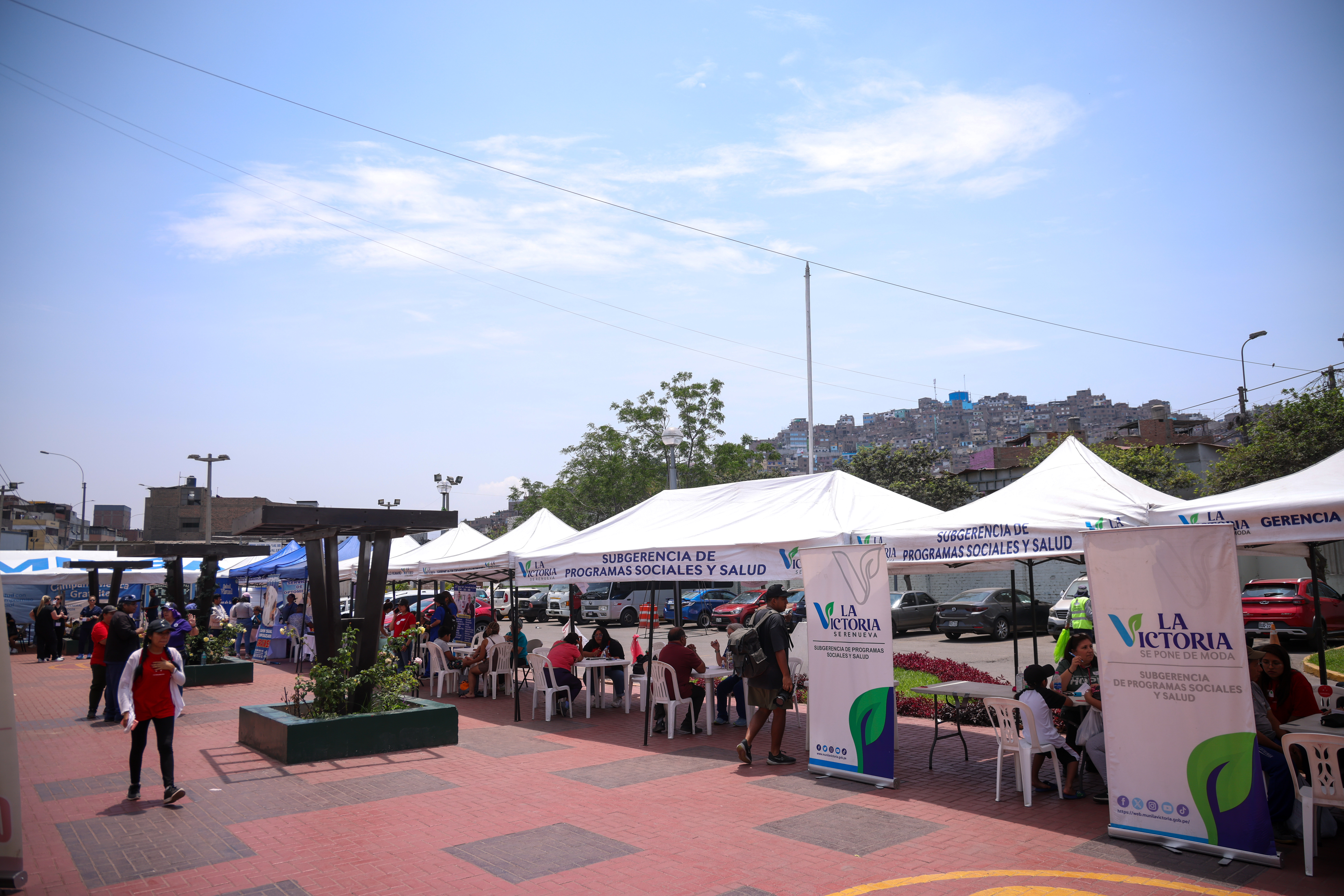 feria de salud