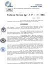 Vista preliminar de documento Resolucion Directoral N° 002593-2025